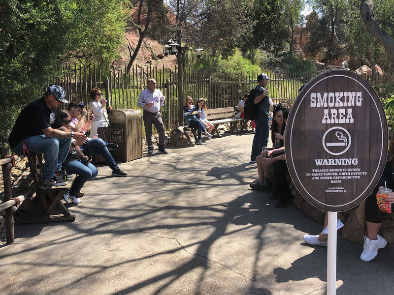 Disney Bans Smoking In Theme Parks Effective May 1, 2019
